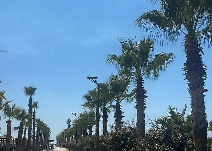 Red דירה